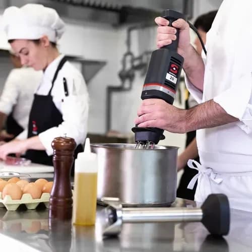 Sammic MB-21 (3030764) Combination Mixer Hand Whisk & Immersion Blender 15 liters (15.85 qt.) capacity hand whisk