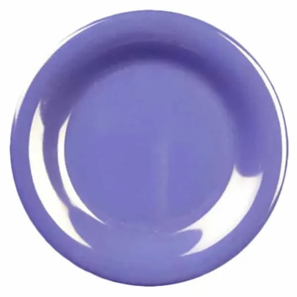 Thunder Group CR010BU Purple 10-1/2" Melamine Plate | Case of 12