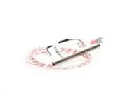 Vulcan 00-353589-00001 Hart Temperature Probe