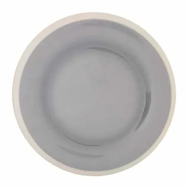 Thunder Group DM010H Graham 10-1/2" Melamine Plate | Case of 12 — main image
