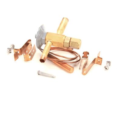 True 813302 Valve ExpansionEbfse-Aazp, Inlet Strain