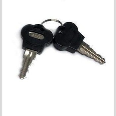 True 932992 Keys, Set Of 2For Lock 831373 & 935645 — main image