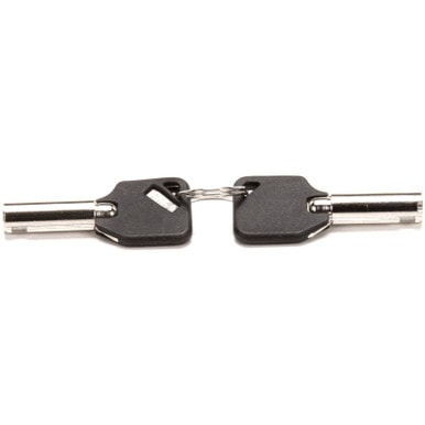 Delfield 3237556 Key, Pike Door, New Styl E — main image