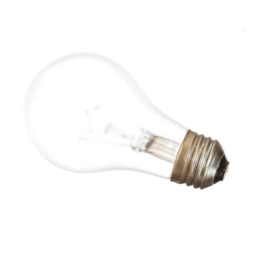 Alto Shaam LP-33598 Lamp, 60W, 130V, A19 Style, Coated — main image