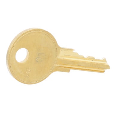 Commercial Kitchen Spare Parts — HOSHIZAKI 4A5453-01 KeyFor Lock 4A4924-01