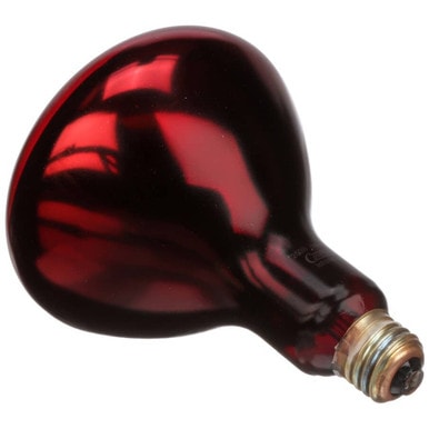 Hatco 02.30.068.00 Lamp-250W, 120V, Red, Inf, Ctd — main image