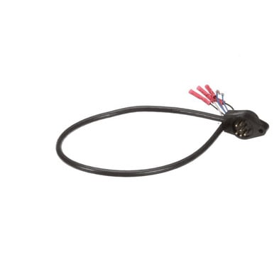 Commercial Kitchen Spare Parts — True 801745 Wire Harness, Tm-P63-0120 Inches For Tr