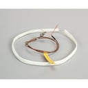 Wells WS-63927 Probe
