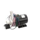 Hoshizaki SP-5422 Pump Motor Assembly: Mid-Km, Edge, 60Hz