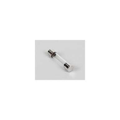 Hoshizaki 4A0893-07 Fuse Agc 10