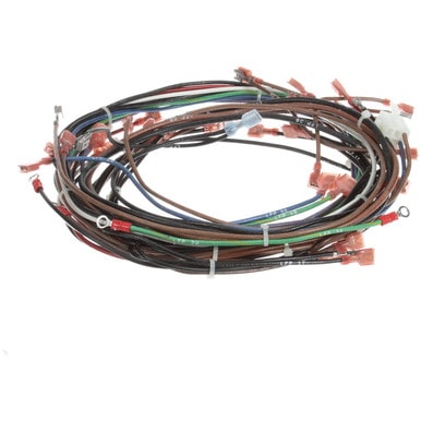 Lincoln 370341 Wire Harness Cti 60Hz1Ph — main image