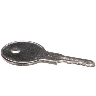 Traulsen 358-60024-00 Core Removable Key — main image