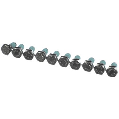Rational 10.00.698P Hex Screw M6X12 W.Precoat 85