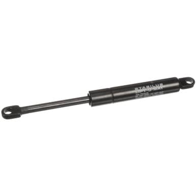 Taylor 74313 Gas Cylinder