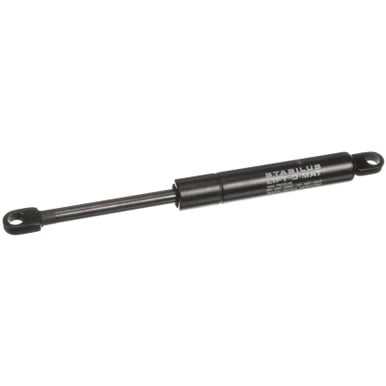 Taylor 74313 Gas Cylinder