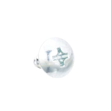 Hoshizaki 7P31-0408 Zinc Screw