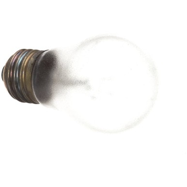 Delfield 2194281 Bulb, Light, Tuff-Skin 220V — main image
