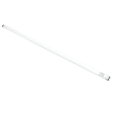 True 801922 Lamp, F025T8 Tl741 36High Spectrum — main image