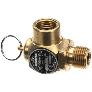 Groen 156046 Safety Relief, 25 Psi