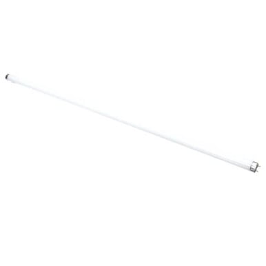 True 801156 Lamp, F025/865/Xp/Eco 36